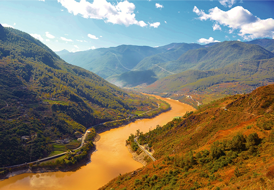 カリフォルニアグリズリーの剥製@ロサンゼルス自然史博物館 