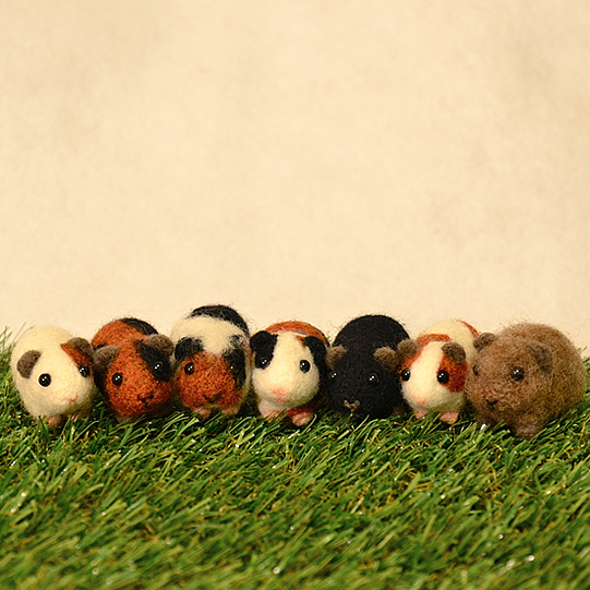 いなだ知紗（いなだ ちさ）